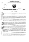 Vista preliminar de documento RDR 11343-2024