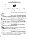 Vista preliminar de documento RDR 11349-2024