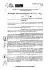 Vista preliminar de documento RDR 11353-2024