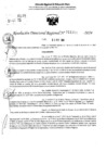 Vista preliminar de documento RDR 11355-2024