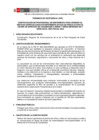 Vista preliminar de documento TDR ENFERMERIA