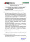 Vista preliminar de documento TDR ANOTADOR