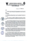 Vista preliminar de documento RESOLUCION EJECUTIVA REGIONAL 0040-2025 GRA