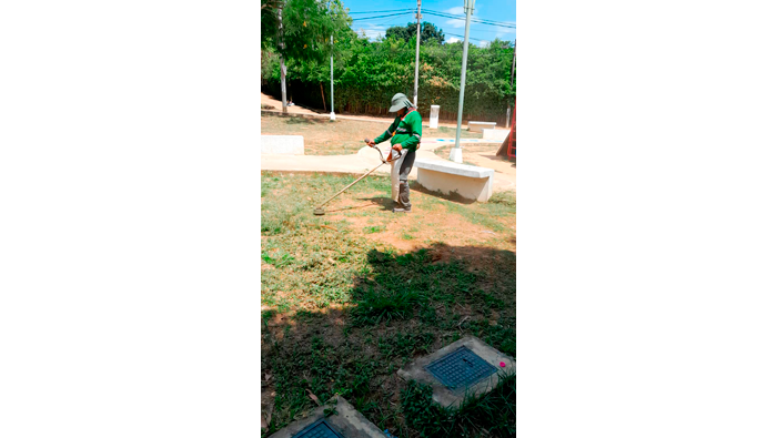 Trabajos de limpieza, desmalezado y poda en los distintos parques de la ciudad de Tarapoto.