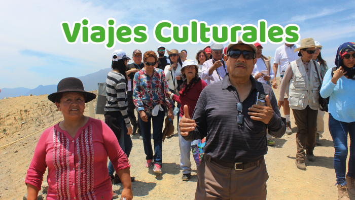 AGENDA CARAL - FEBRERO 2025: exposiciones, talleres, viajes y más