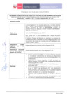 Vista preliminar de documento BASES 