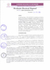 Vista preliminar de documento RDR 045-2025