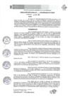Vista preliminar de documento RESOLUCION DIRECTORIAL N° 017-2025-MIDAGRI-PEPP-CD-DE