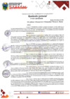 Vista preliminar de documento RESOLUCION GERENCIAL CONVOCATORIA CAS N° 001-2025-MDS