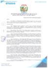 Vista preliminar de documento Resolución Gerencial N.° 0246-2025-MPO-LL