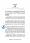 Vista preliminar de documento Resolucion gerencial regional  203-2025