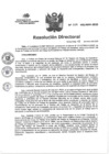 Vista preliminar de documento RD N°029