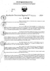 Vista preliminar de documento RDR 11357-2024