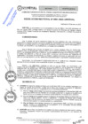 Vista preliminar de documento RES.RECT. N° 0091-2025-UNHEVAL