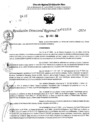 Vista preliminar de documento RDR 11358-2024