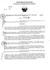 Vista preliminar de documento RDR 11359-2024