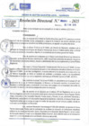 Vista preliminar de documento RD N 00001