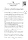 Vista preliminar de documento Resolucion N° 441-2024-UNAMAD-VRI