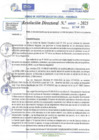 Vista preliminar de documento RD N 00007