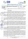 Vista preliminar de documento RD N 00008