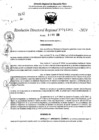 Vista preliminar de documento RDR 11363-2024