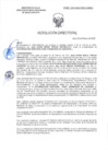 Vista preliminar de documento RD-0627-2025-DSAIA-DIRIS-LE-MINSA