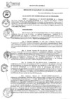 Vista preliminar de documento RESOLUCION DE ALCALDIA N.º 011-2025-MDSJM