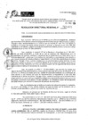 Vista preliminar de documento RDR 11365-2024