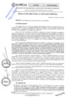 Vista preliminar de documento RES. REC. 0090-2025