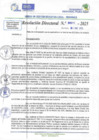 Vista preliminar de documento RD N 00011
