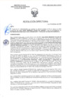 Vista preliminar de documento RD-0636-2025-DSAIA-DIRIS-LE-MINSA