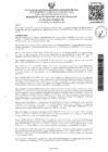 Vista preliminar de documento Resolucion N° 450-2024-UNAMAD-VRI
