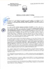 Vista preliminar de documento RD-0638-2025-DSAIA-DIRIS-LE-MINSA