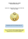 Vista preliminar de documento BASES CONCURSO PUBLICO DE MERITOS 002