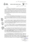 Vista preliminar de documento RD 060-2025GRC/DIRESA/DG