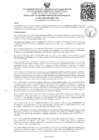 Vista preliminar de documento Resolucion N° 452-2024-UNAMAD-VRI