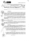 Vista preliminar de documento RDR 11372-2024