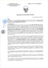 Vista preliminar de documento RD-0645-2025-DSAIA-DIRIS-LE-MINSA