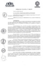 Vista preliminar de documento ORDENANZA MUNICIPAL N 266-MDY