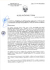 Vista preliminar de documento RD-0650-2025-DSAIA-DIRIS-LE-MINSA