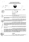 Vista preliminar de documento RDR 11373-2024