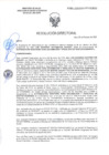 Vista preliminar de documento RD-0654-2025-DSAIA-DIRIS-LE-MINSA