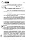Vista preliminar de documento RDR 11375-2024