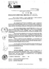 Vista preliminar de documento RDR 11376-2024