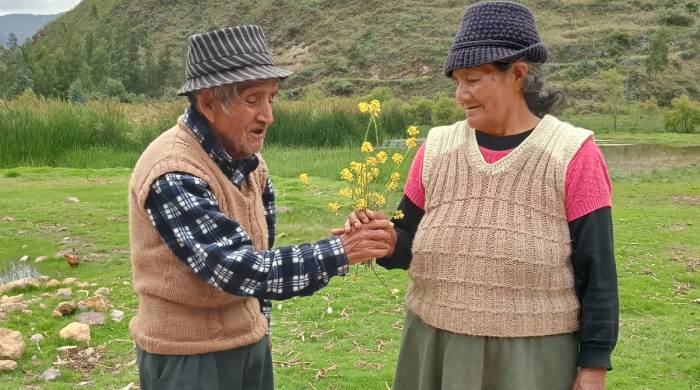 Historia - Huancavelica 2