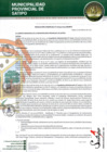Vista preliminar de documento RESOLUCION GERENCIAL N° 00039-2025-GM-MPS