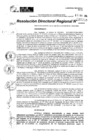 Vista preliminar de documento RDR 11380-2024