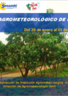Vista preliminar de documento Reporte agrometeorológico de impacto - Costa 28 de enero al 03 de febrero del 2025