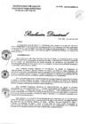 Vista preliminar de documento 035-2020-DG-DIRIS-LC