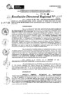 Vista preliminar de documento RDR 11387-2024